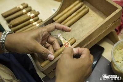 古巴雪茄2020年新品测试活动举行 王政详解雪茄测试环节奥秘
